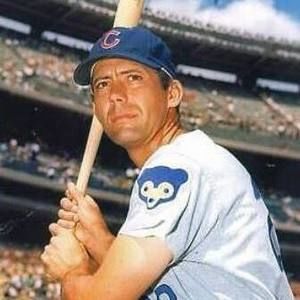 Meet your Posher, Joey